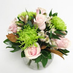 Seller Image